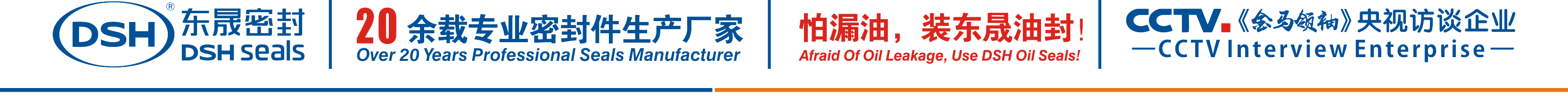 怕漏油，裝東晟油封！
