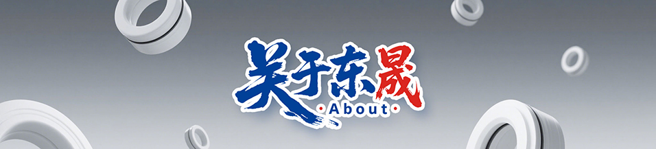 企業文化 - 企業文化,質量方針,東晟密封件公司,愿景,價值觀,使命