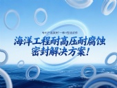 專利產品案例 ? 一種H型油封件：海洋工程耐高壓耐腐蝕的密封解決方案！
